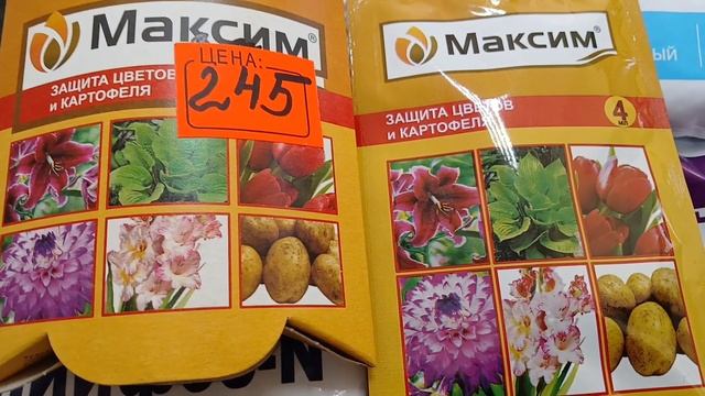 Что обязательно нужно сделать сейчас,в сентябре?