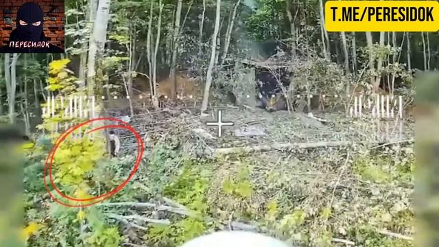Охранник пушки был рад что не он приоритетная цель
