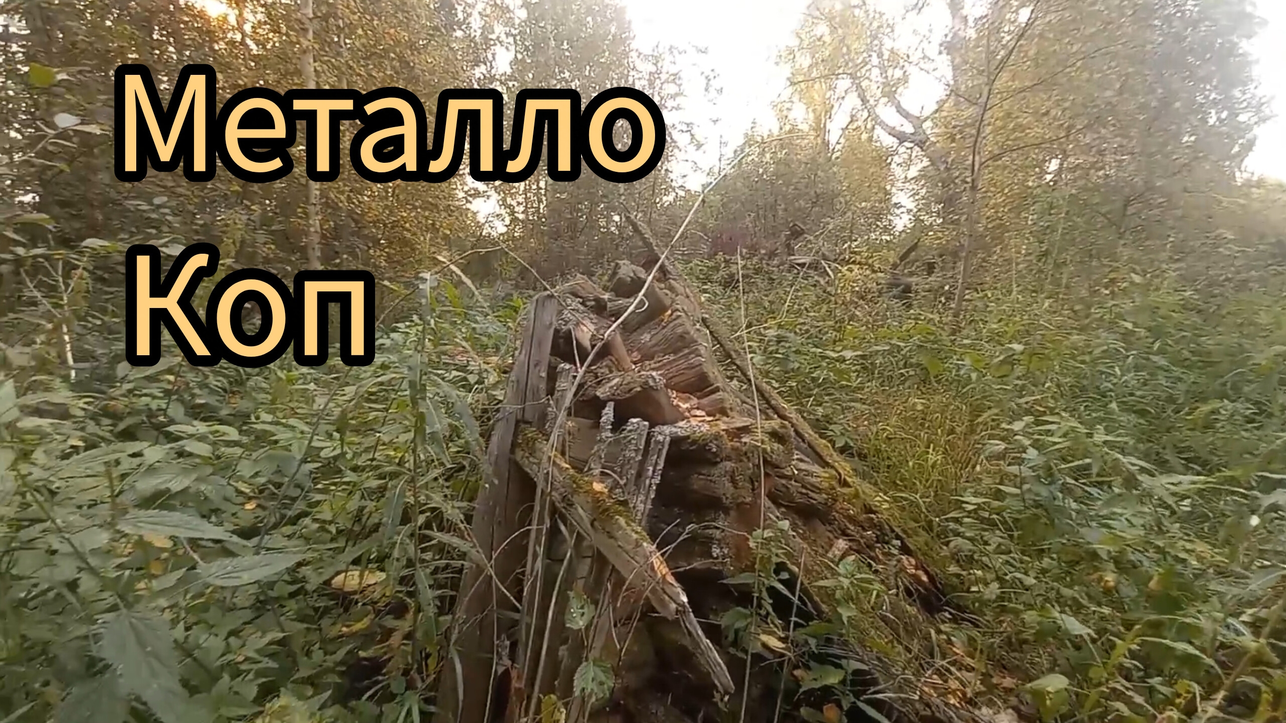 ДОМ КОМБАЙНЕРА ПОРАДОВАЛ НАХОДКАМИ. СЛОМАННЫЙ ЛАБАЗ.