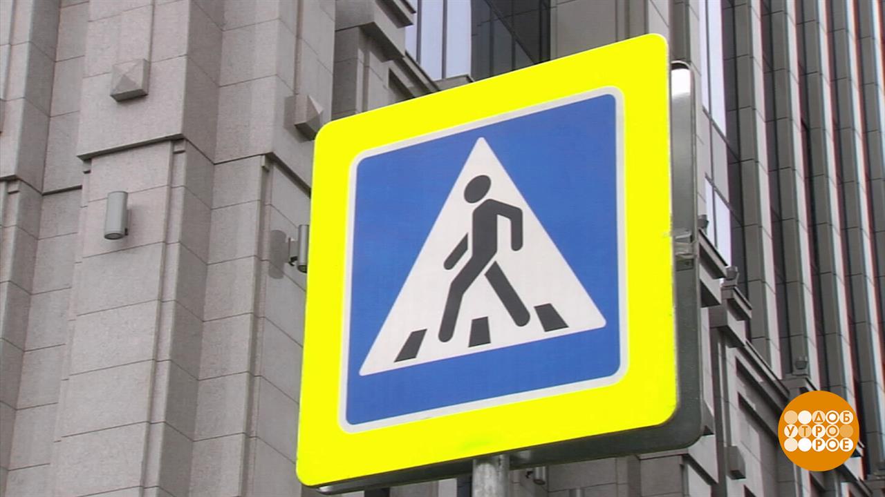 Дети в школу собирались... Водитель, будь аккуратнее! Доброе утро. Фрагмент выпуска от 02.09.2025