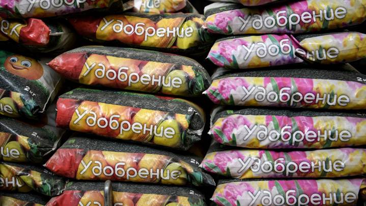 Россия готова перераспределить поставки удобрений в страны Глобального Юга