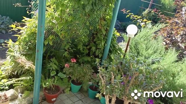 2 сентября ремонт продолжается,повесили вторую дверь.В огороде...