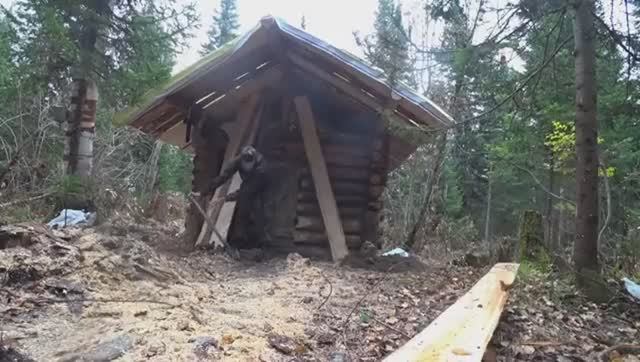 СТРОЮ ИЗБУ В ОДИНОЧЕСТВЕ. ДЕЛАЮ ПОЛЫ ПРИСТРОЙКУ "СЕНИ" ПОД ДРОВА. УСПЕТЬ ЗАЕХАТЬ ДО СНЕГОВ.