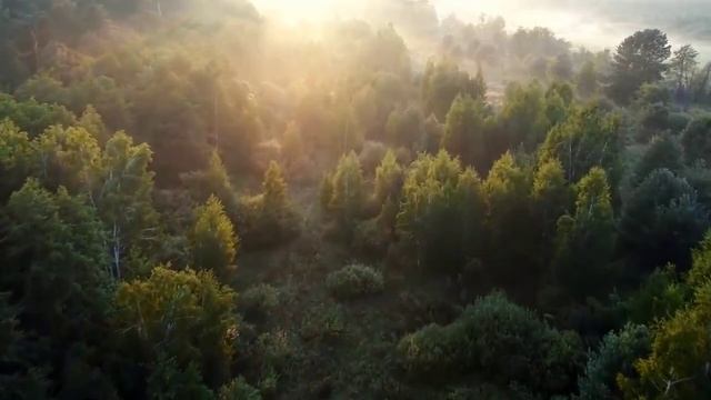 Музыка для релакса. Звуки природы и фортепиано.
