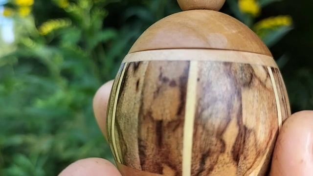 Шкатулка в сентябрьском лесу с листьями вяза и цветами