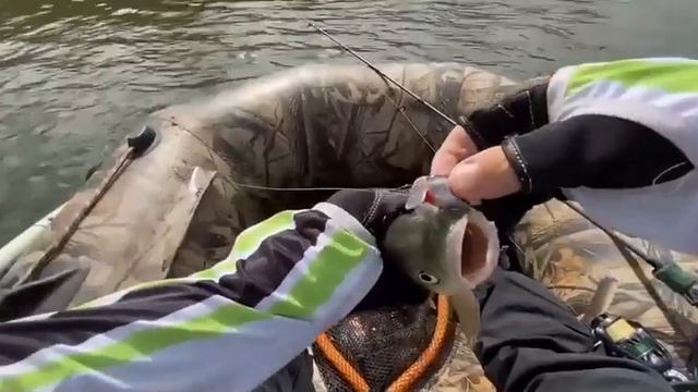 Видео от За Трофеем: Охота и Рыбалка