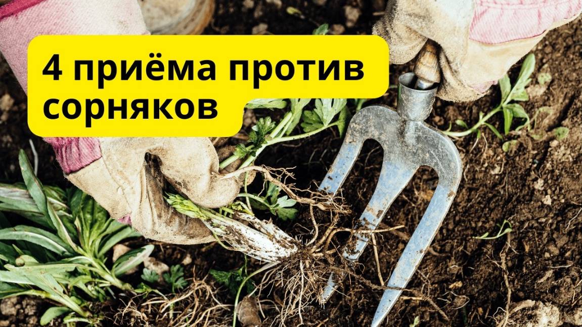 Сорняки навсегда исчезнут с огорода! ❌🌿Проверено!