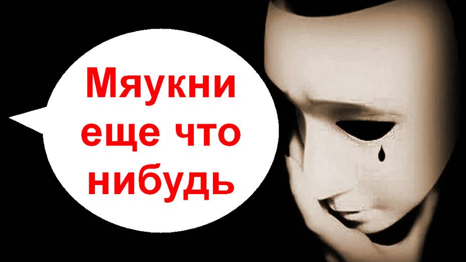 Мяукни еще что нибудь _ Мошенники звонят по телефону