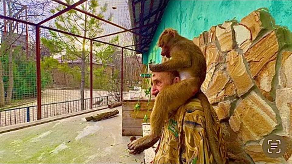 Люське так удобно сидеть у Влада НА ШЕЕ и в прямом и в переносном смысле)))