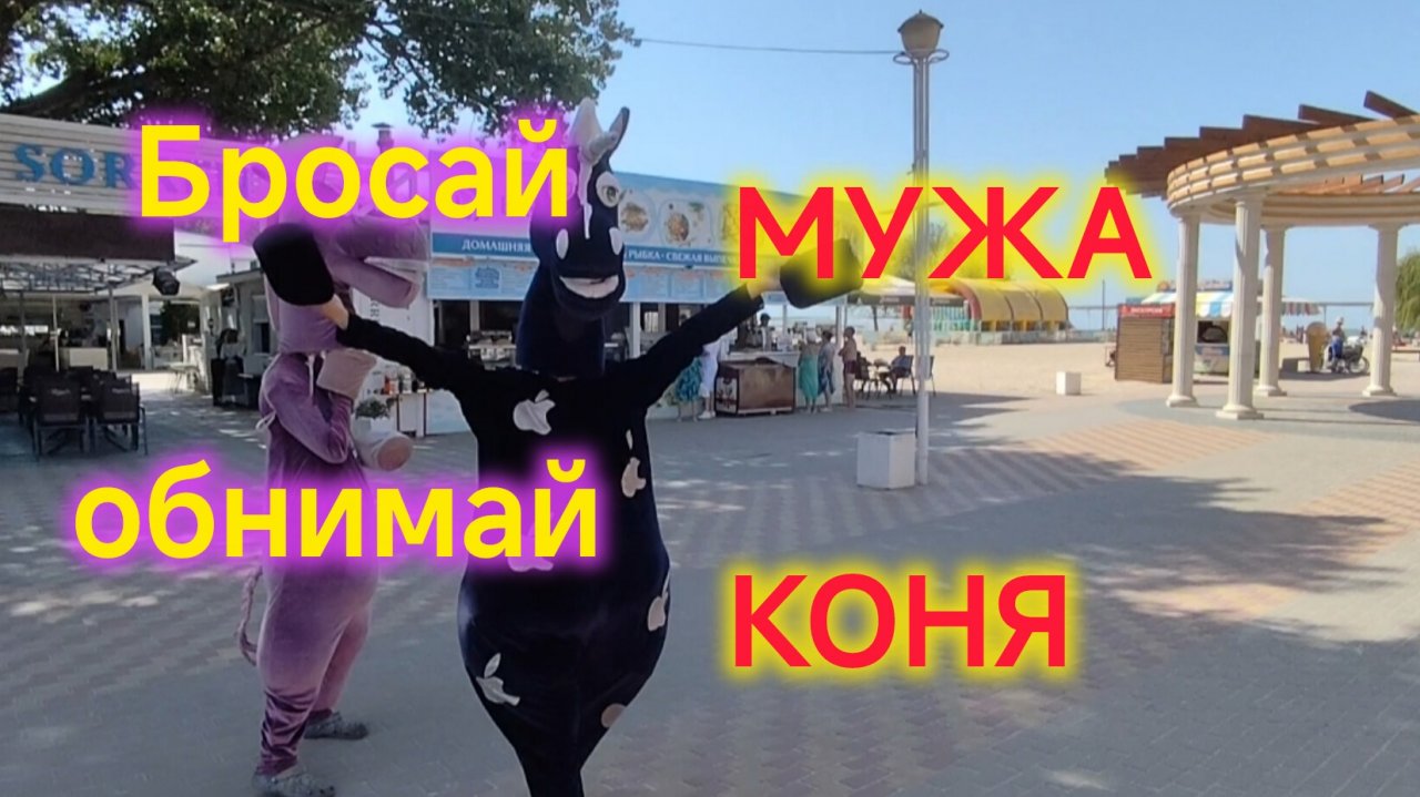 Ейск🍒/Бросай МУЖА, обнимай КОНЯ/Мокасины кошатника.