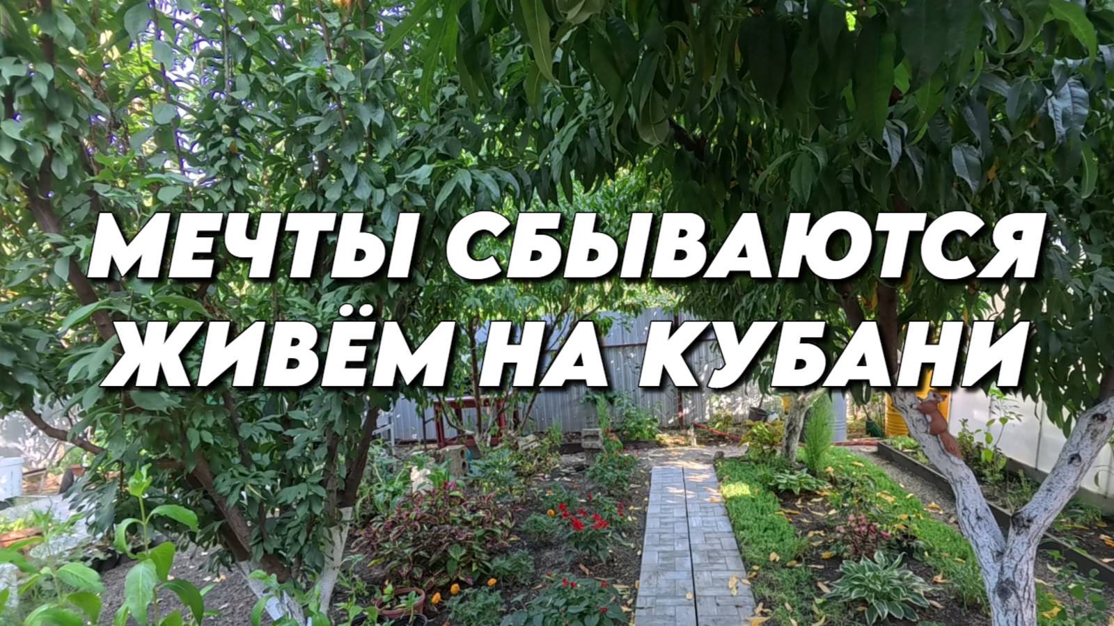 972 Наш южный сад/Переехали жить на юг/Краснодарский край Родники