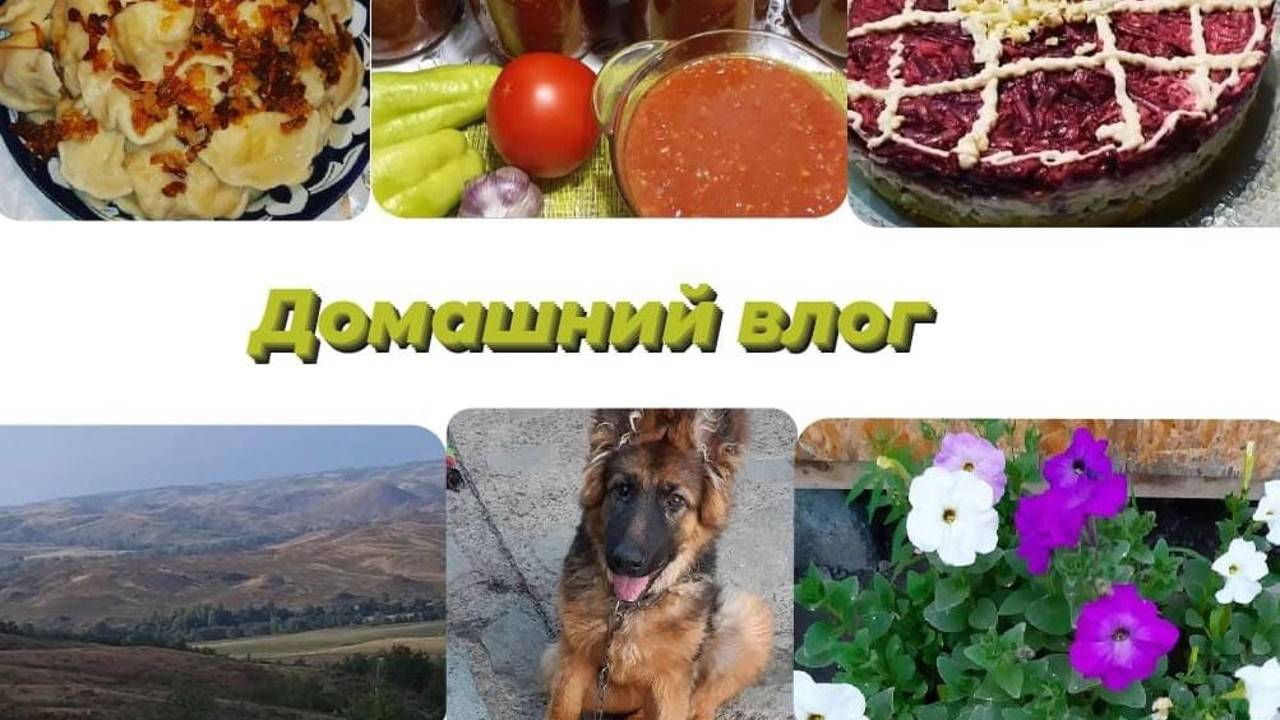 Домашний влог Купили продукты Заготовки из яблок
