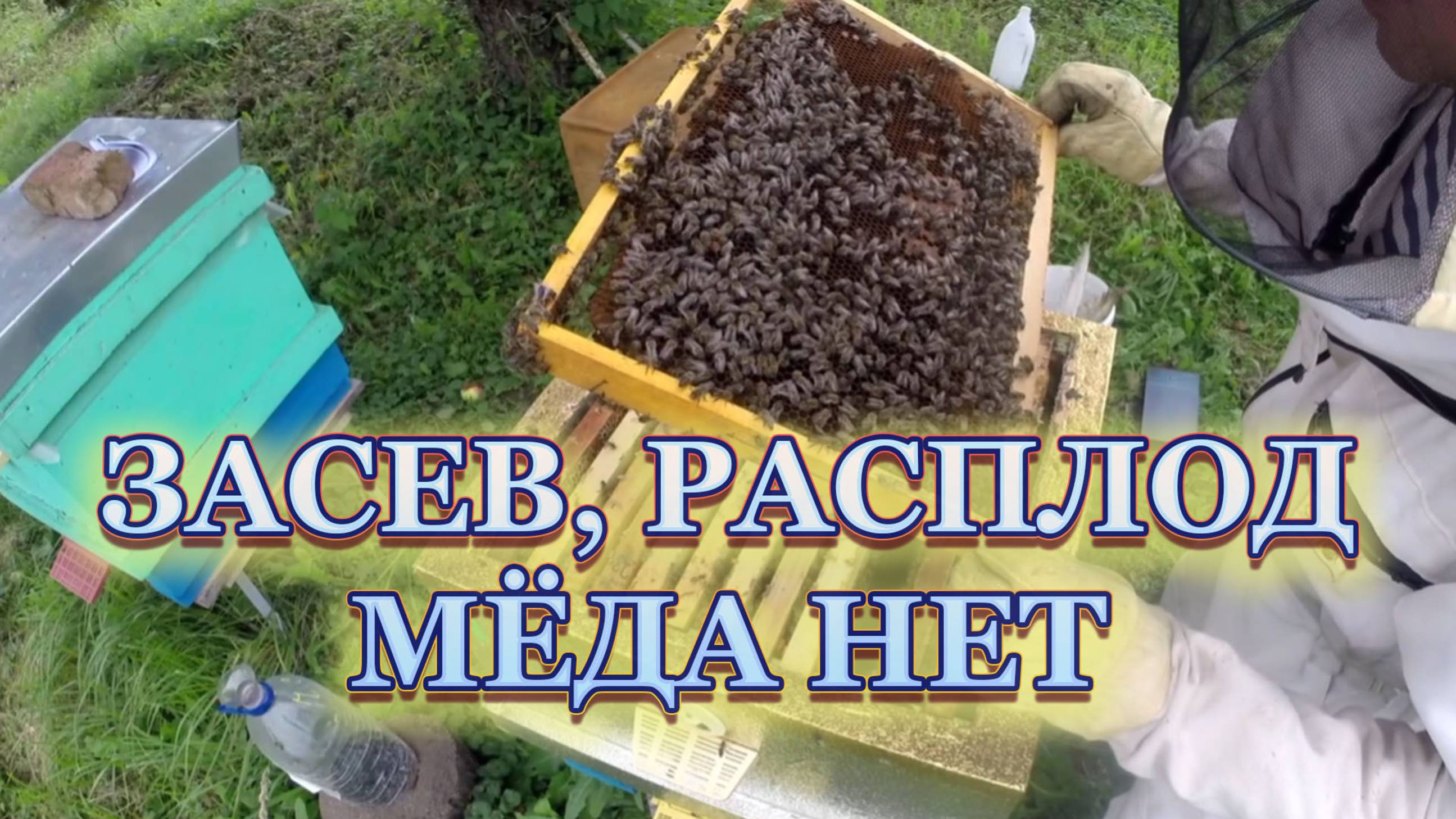 3 сентября 25 года, печаль на пчельнике, но время есть.