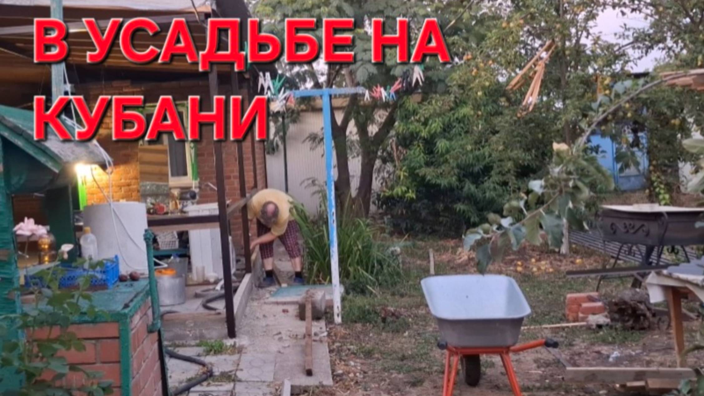 736 Жизнь на Кубани. Это была проверка. Проверку мы сегодня прошли.