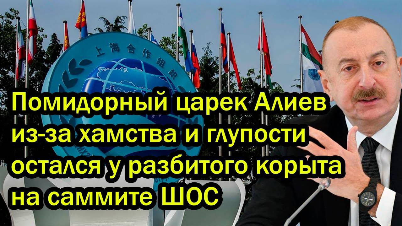 Помидорный царек Алиев из-за хамства и глупости остался у разбитого корыта на саммите ШОС