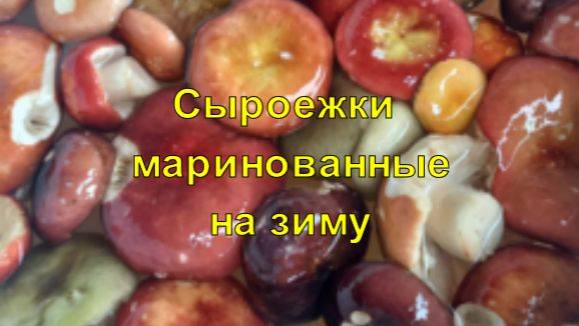Сыроежки маринованные. Вкусно и красиво! Рецепт.