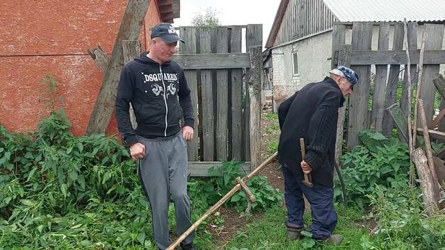 Помогаем деду Матвею на огороде.