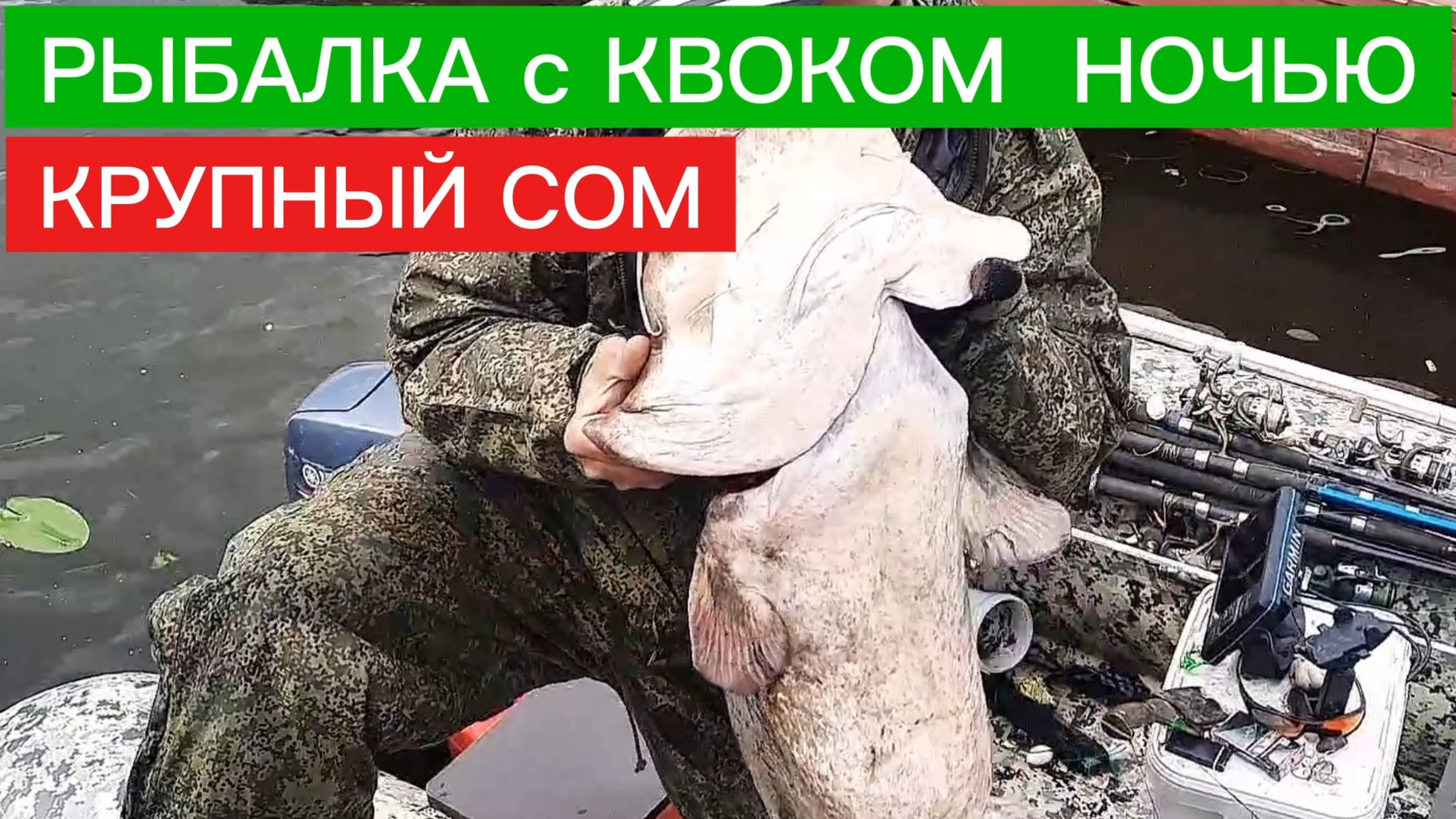 ЛОВЛЯ СОМА с КВОКОМ! СОМ на КВОК НОЧЬЮ! Деликатная снасть на СОМА.