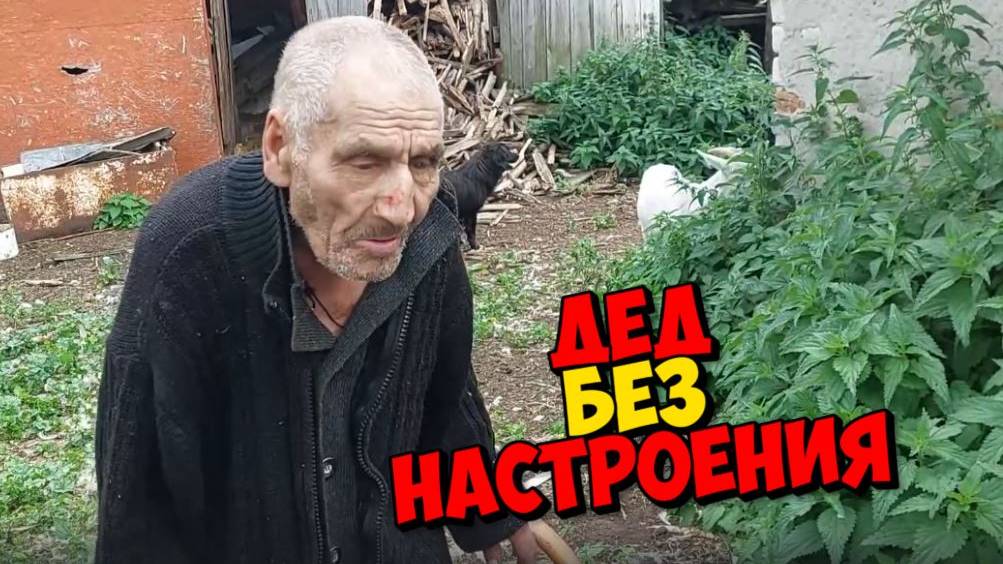 ПОМОЩЬ НЕ УДАЛАСЬ . ДЕД ВРЕДНИЧАЕТ
