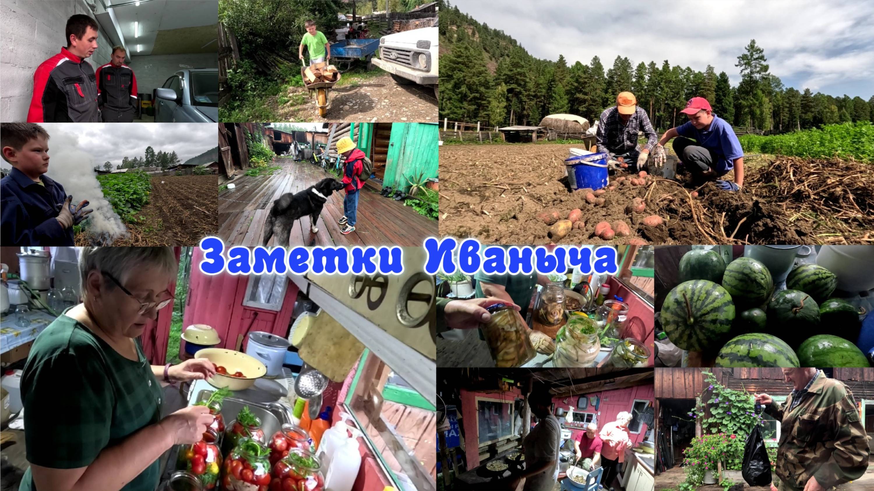 Заготовки на зиму или "как потопаешь, так и полопаешь"