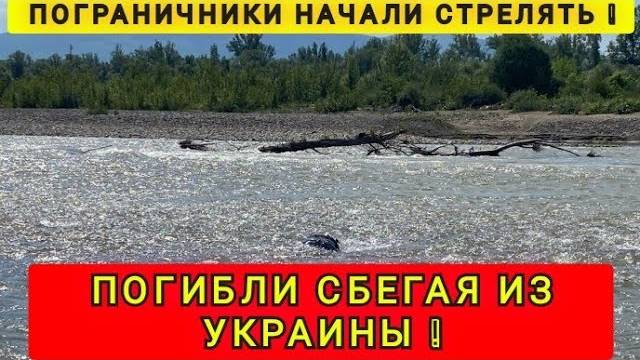 НЕУДАЧНЫЕ ПОПЫТКИ ПОБЕГА ❗НЕ ДОШЛИ ДО СВОБОДЫ❗