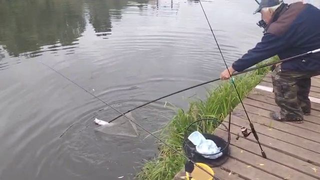 Утро.Форель на резину
