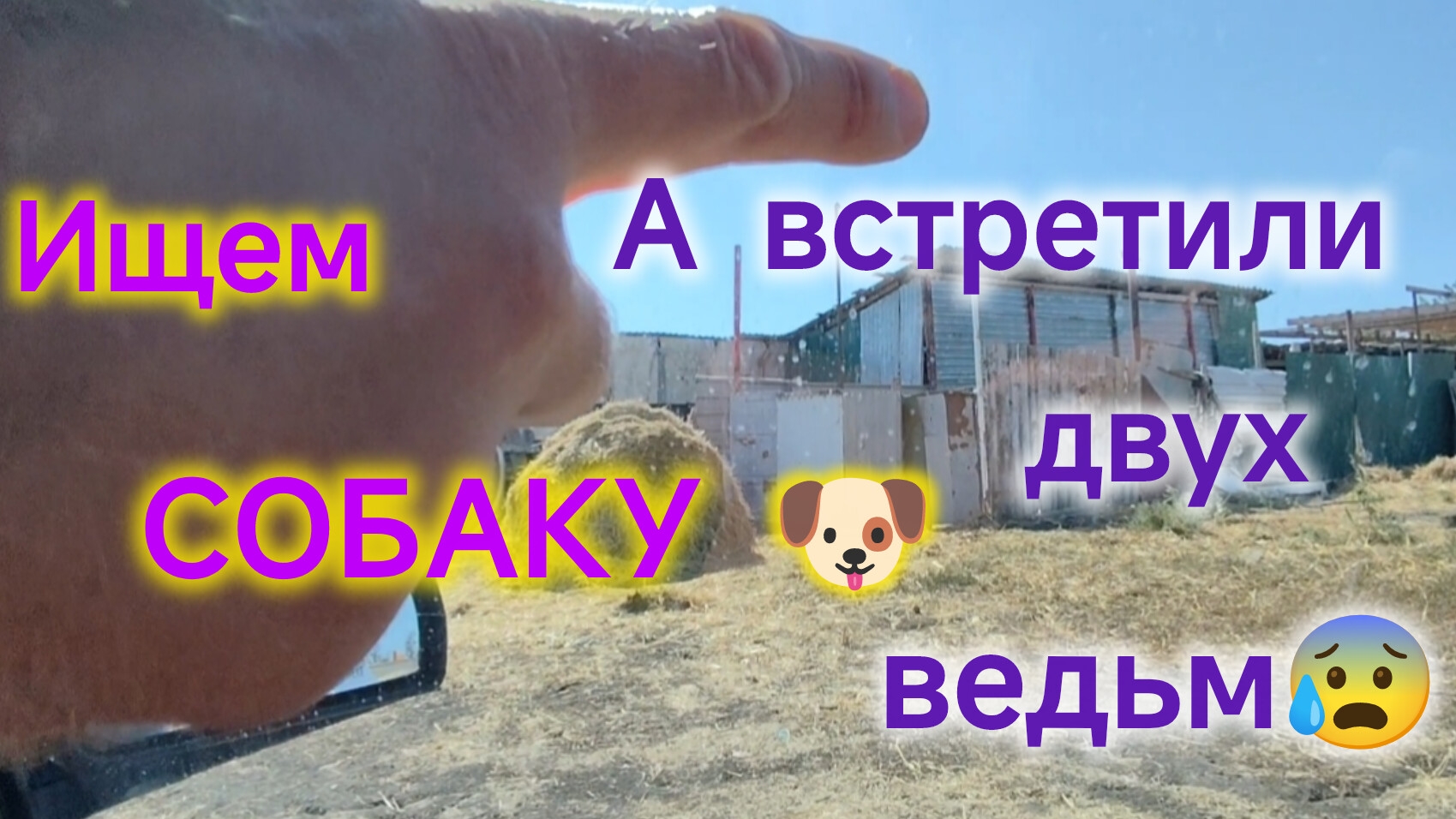 Ремонт в МОРЕВКЕ❤️/Искали собаку, нашли 💀 ОВЦУ😰 и встретили двух ВЕДЬМ👻👻/Сделали КРЫШУ 🎉