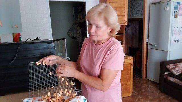 Пирожки с луком и яйцом. Простой рецепт теста.