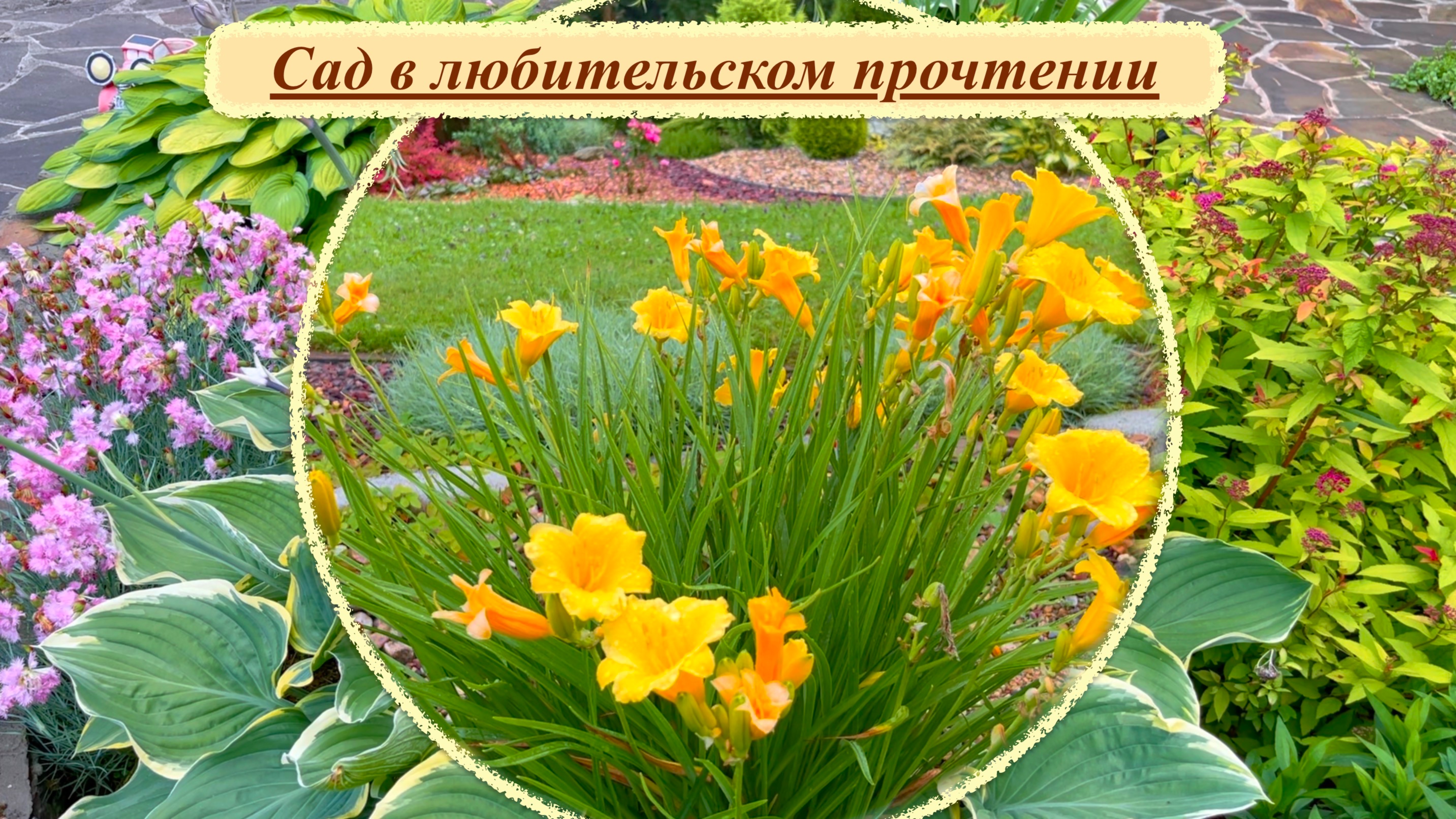 Красиво некрасиво или многолетний сад в любительском прочтении.