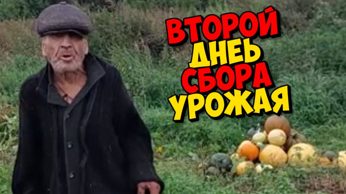 РУГАТЬ НЕ КОГО , ПОГОВОРЮ О СЕБЕ