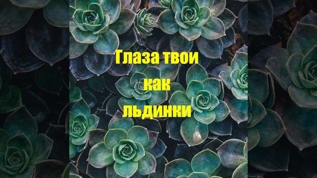 Глаза твои как льдинки