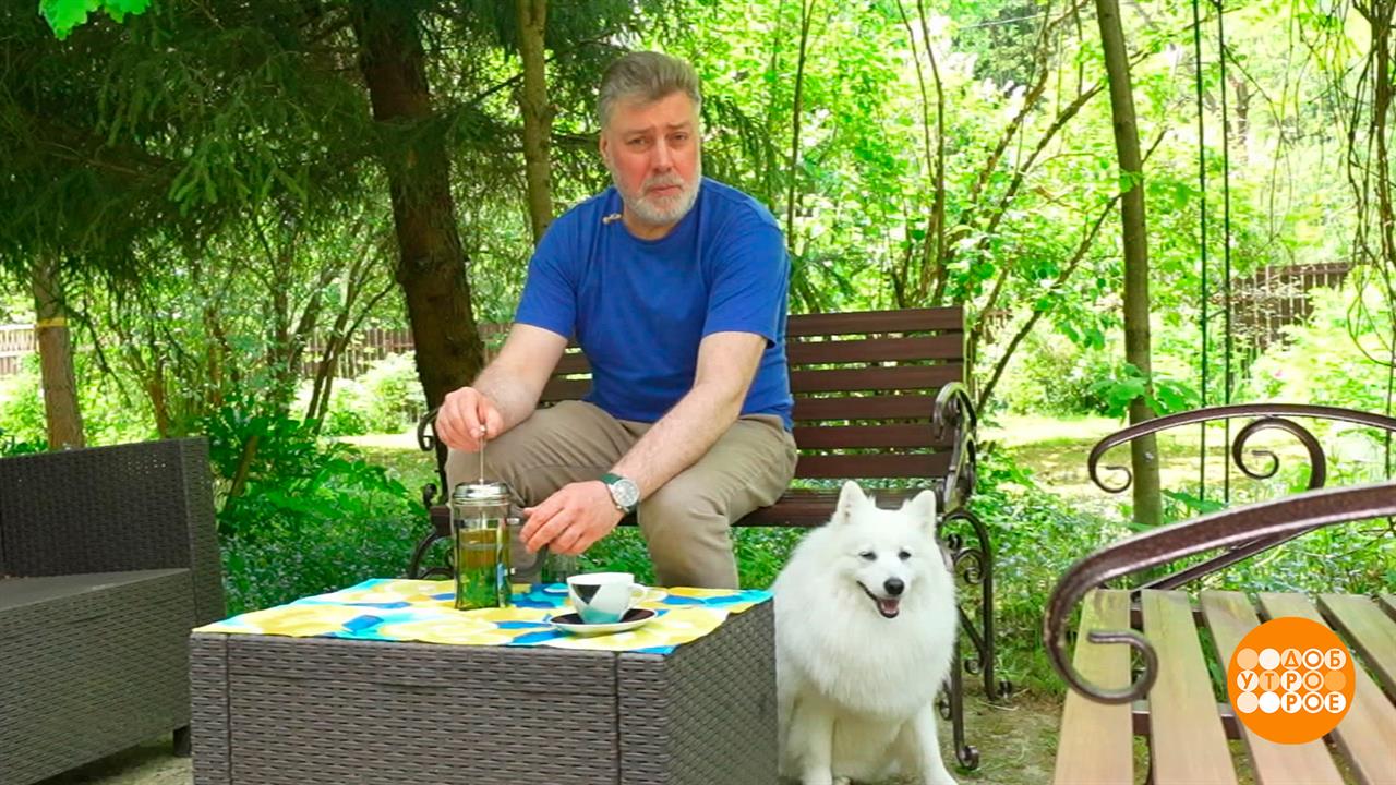 Долой вредные привычки! Все в сад! Доброе утро. Фрагмент выпуска от 04.09.2025