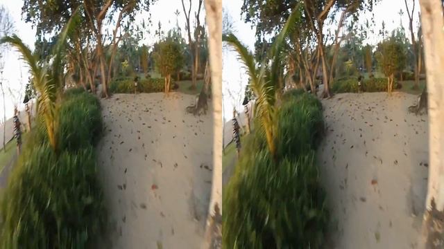 parallax motion