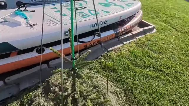 Хвойный сад в последний день лета😃Новинки.