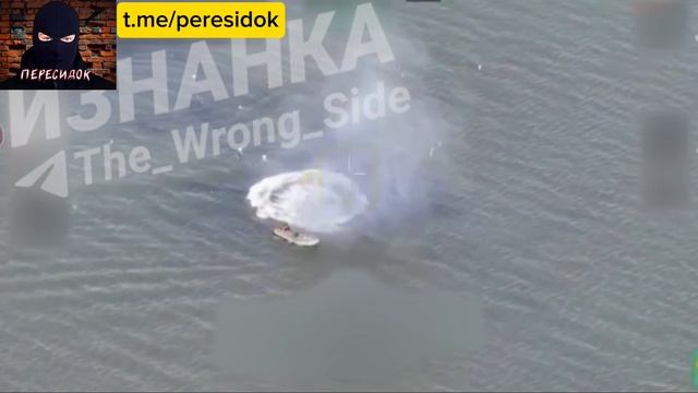 Морские свинки пошли на дно
