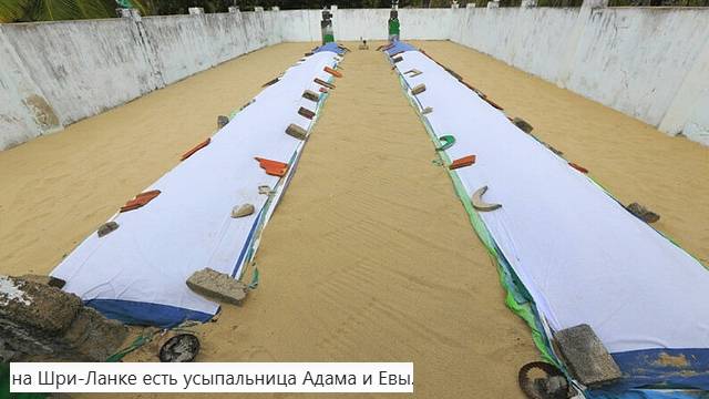 Ответы на Вопросы по Эзотерике от 04.09.25 Часть 4