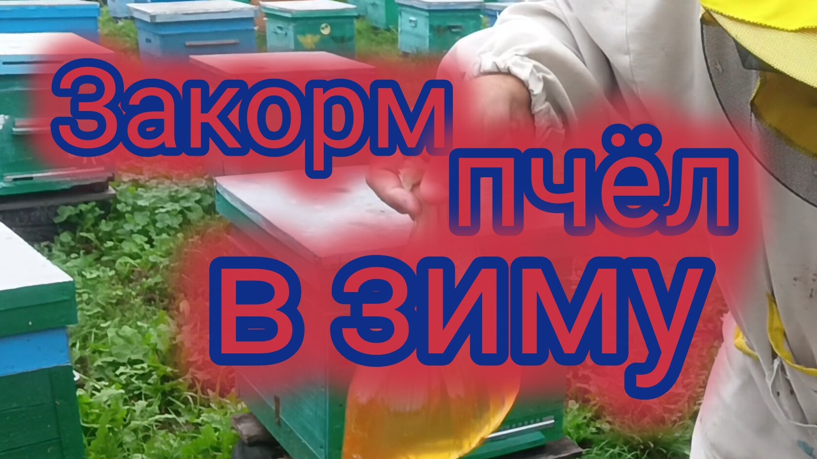 Закорм пчёл в зиму 🐝