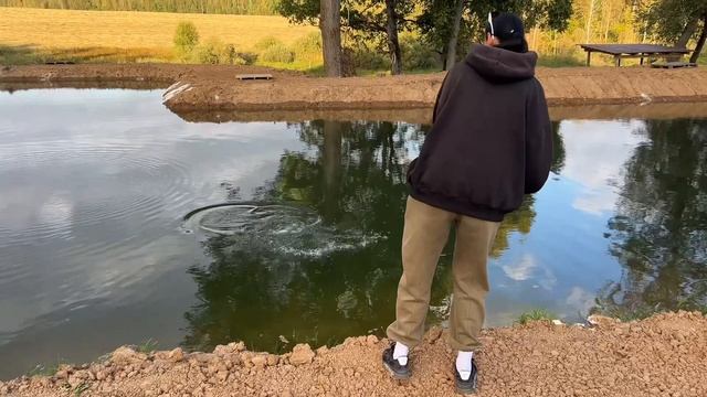 Тестим новый водоем