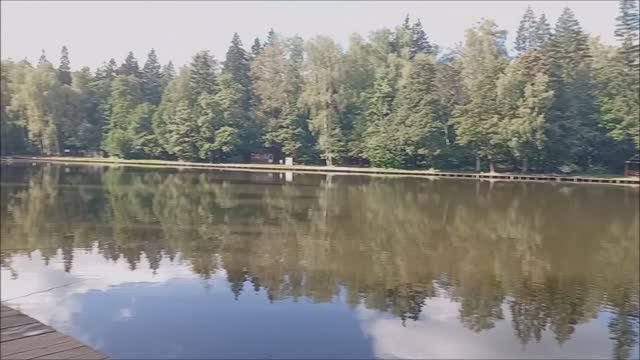 Обзор с Нижнего пруда. Клёвое место Лосиный остров.