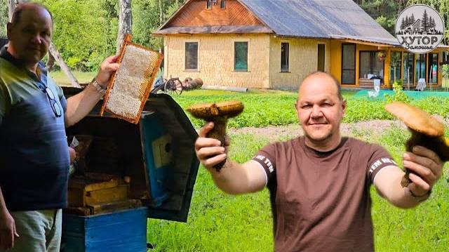XУТОР 3АМОШЬЕ! COБИРАЕМ ГРИБЫ И КАЧАЕМ МЁД!