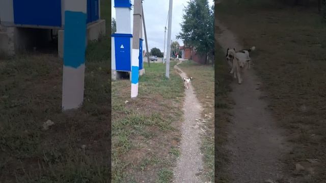 НА ВСЮ ЖИЗНЬ