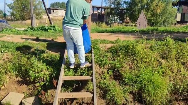 WhatsApp Video 2025-09-05 at 10.28.16