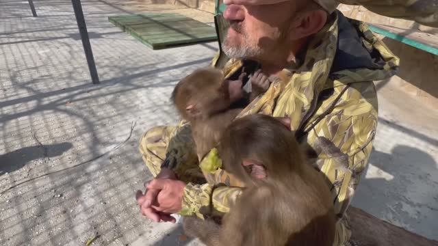 Люська РЕВНУЕТ ко мне Тосечку и прыгает на меня как только Тося идет ко мне на руки)