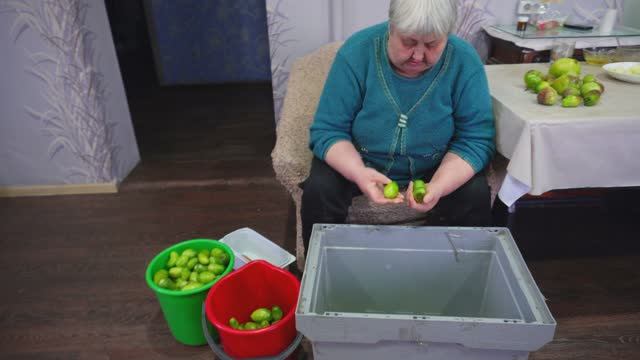 Завалил маму домашними помидорами она радуется как ребенок Так вкусно кушаем всей семьёй дома