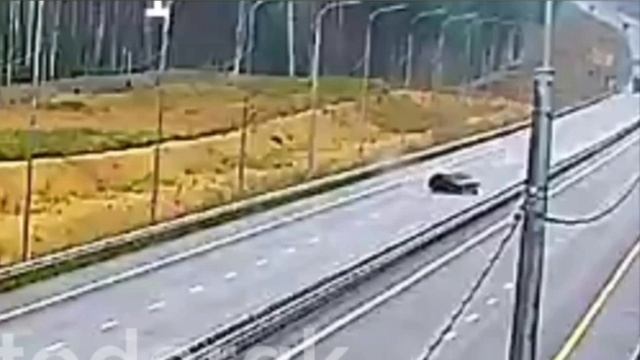 ДТП с уснувшим водителем на Нижегородской трассе