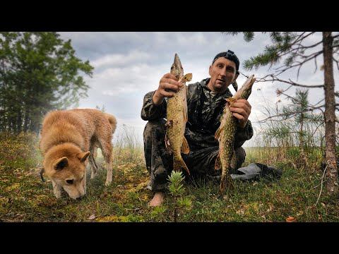 ПОЛУЧИЛ В ГЛАЗ. НОЧЬ ЗАСТАЛА. НА ОЗЕРО С РЫБАЛКОЙ.