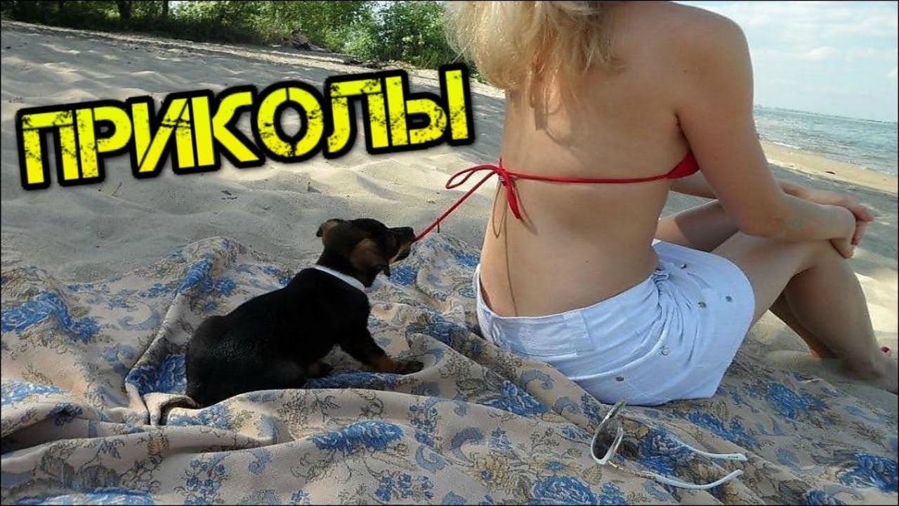 ПРИКОЛЫ ДО СЛЁЗ | ЛУЧШИЕ ПРИКОЛЫ 2022