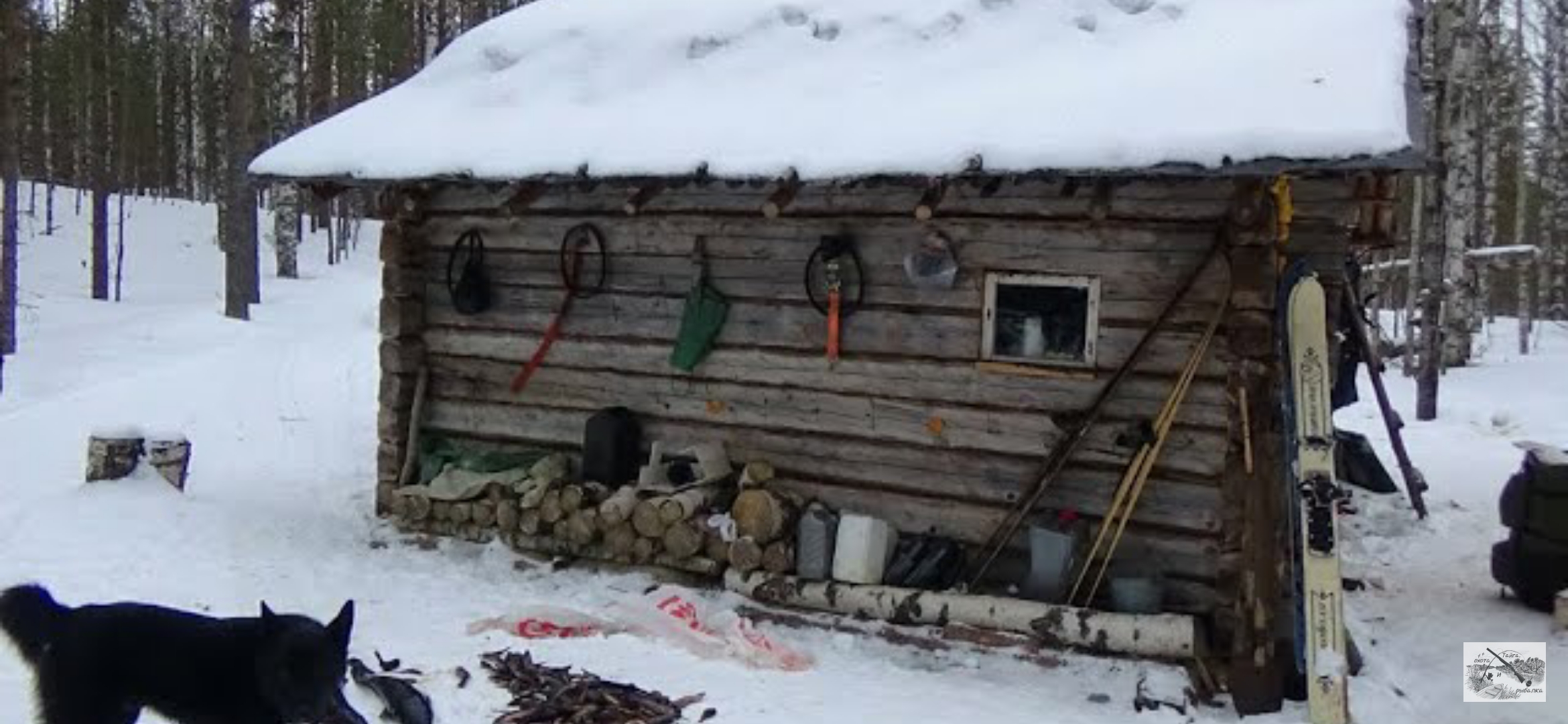 НА ИЗБУ НА РЫБАЛКУ / ТРИ ДНЯ В ТАЙГЕ / НАЛИМЫ, ЩУКИ, КУНИЦА / ИЗБА / ТАЕЖНЫЙ БЫТ