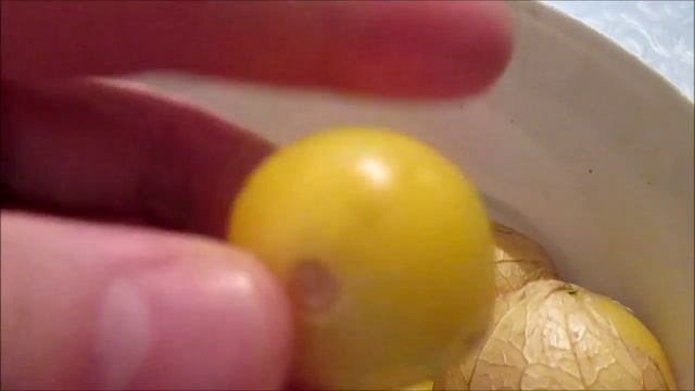Физалис съедобный. Как хранится физалис в домашних условиях? #3