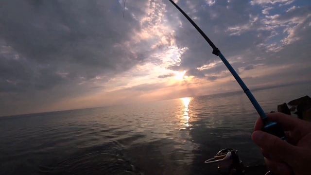 Читерская приманка на морского карася. Ловля ласкиря на отводной. Рыбалка в Крыму. Феодосия.